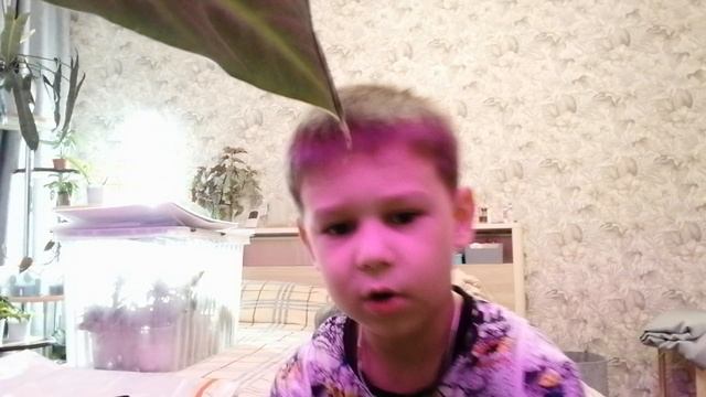 Как родители смотрят телевизор 😂