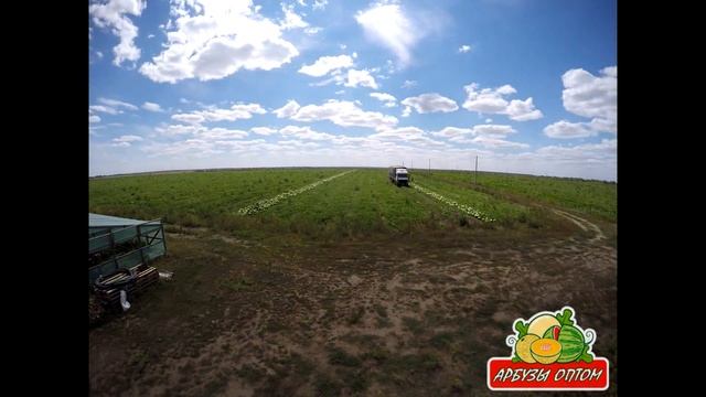 Погрузка арбуза Таймлапс GoPro 08 08 2015