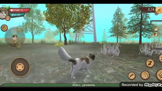 НЕ  ИГРАЙ В Cat Sim в 3 часа ночи!//оно сделит за мной....