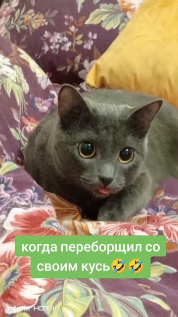 матрос
