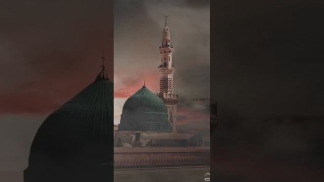 Красивый мавлид на аварском // новинка 2023