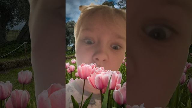 вместе с лаской в цветочном поле