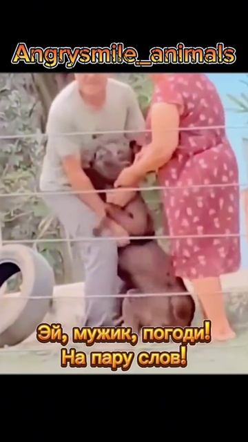 Мужик ты куда?)