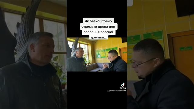 Як безкоштовно отримати дрова для опалення власної домівки...