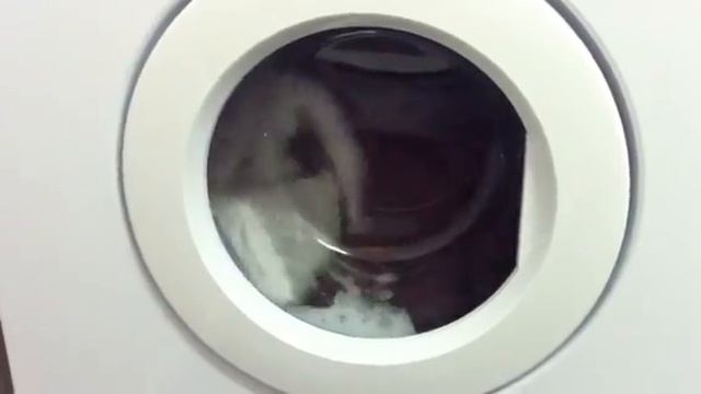 Hotpoint Rinse and jumpy spin