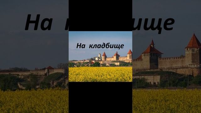 На  КЛАДБИЩЕ  АНЕКДОТ