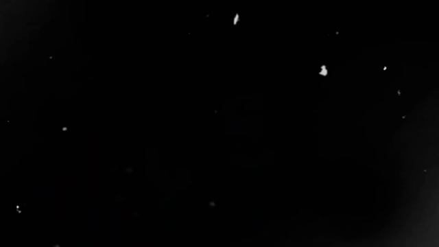 Спойлер нового трейлера Next RP