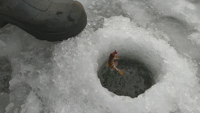 ПРОБУРЮ Я ЛУНОЧКУ, НОВОСТЬ ДЛЯ РЫБАКОВ