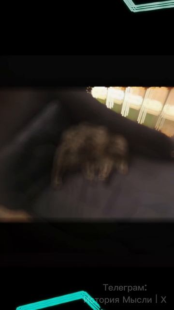 Фото, на которые нужно посмотреть дважды чтобы их понять