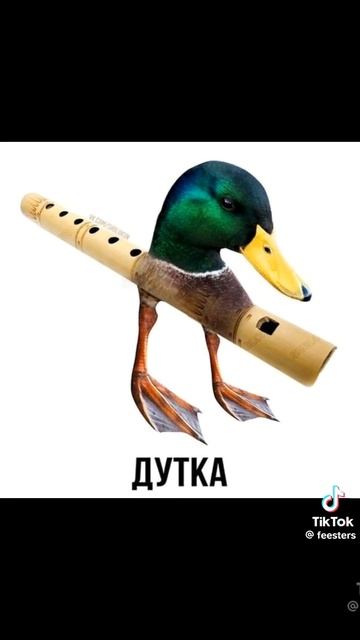 Засмеялся лох