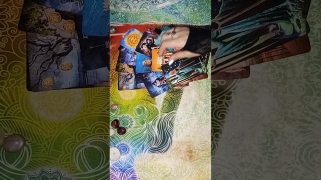 VID20250201033715