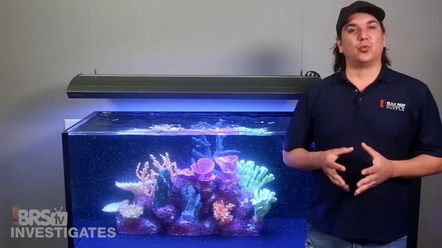 Is the Maxspect Gyre pump the only way to create gyre flow in my tank? | BRStv Investigates