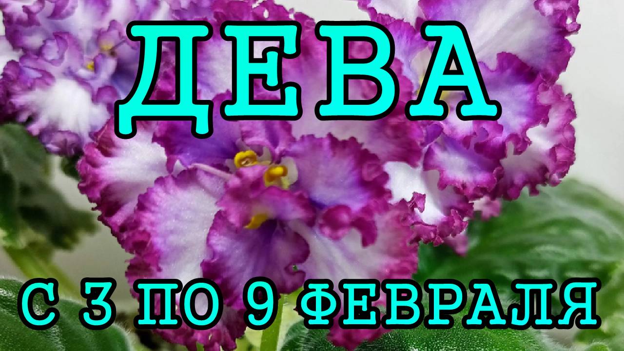 ДЕВА таро прогноз на неделю с 3 по 9 ФЕВРАЛЯ 2025 года.