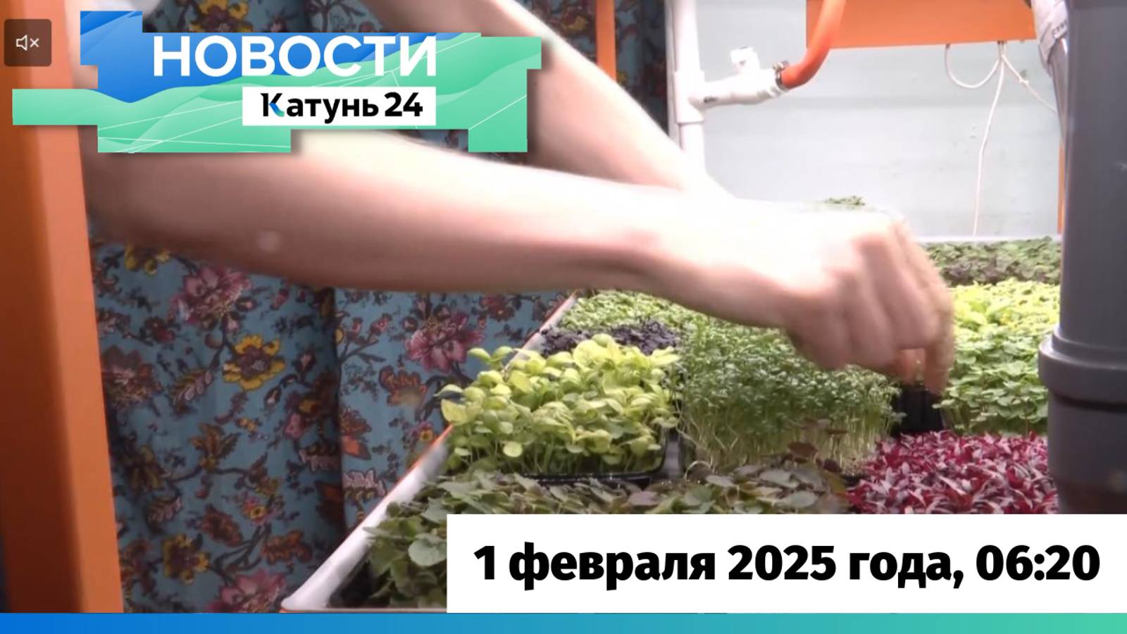 Новости Алтайского края 1 февраля 2025 года, выпуск в 6:20