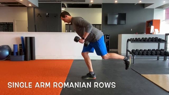 1 DB Single Arm Romanian Rows