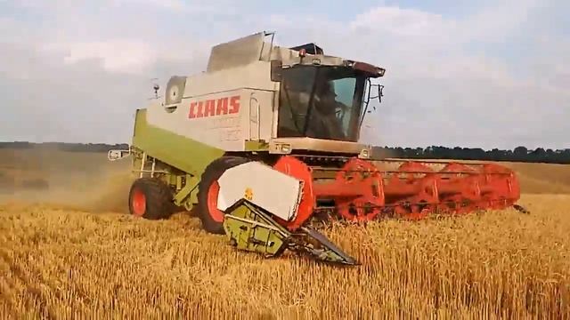 Zniwa 2017 pszenica część 2    claas lexion 460