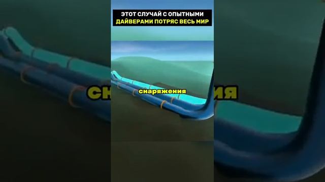 Этот случай с опытными дайверами потряс весь мир