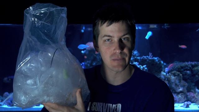 Mr. Saltwater Tank TV Friday AM Quick Tip #116: Those Fish/Coral Plastic Bags Belong Right Here