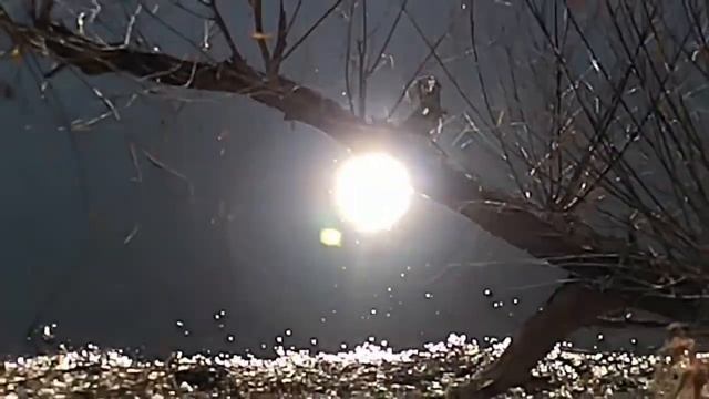 Оренбург. ст-ца Краснохолм р. Песчанка