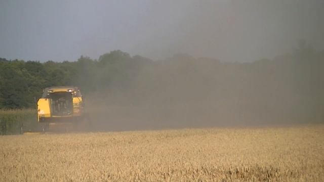 Żniwa 2014 Pszenica -  New Holland TC 5070