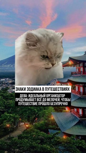 Больше подарков в моем канале, смотри в шапке профиля