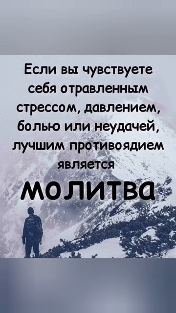 Лучшее средство от стресса