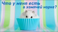Вышивка. Китайские наборы с АлиЭкспресс, что же я захомячила? Часть 2