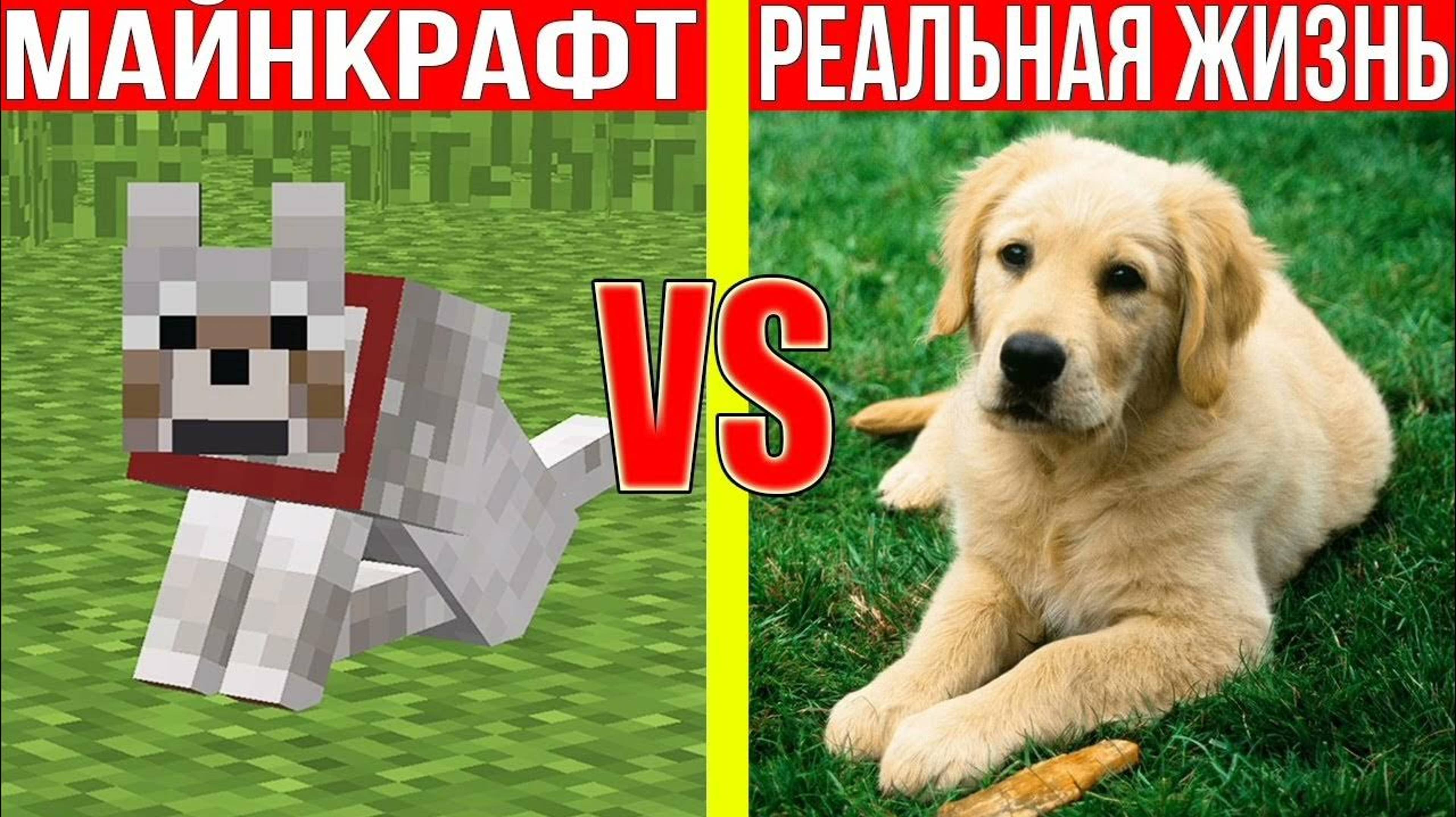 МАЙНКРАФТ ПРОТИВ РЕАЛЬНОЙ ЖИЗНИ 3 _ MINECRAFT VS REAL LIFE