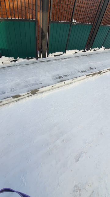 Леди Ди поводок 2024
