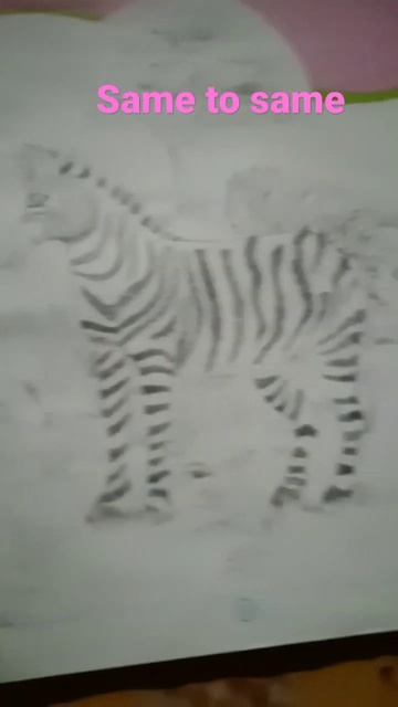 how to draw zebra #shorts #zebra #zebradrawing #viral #trending #drawing #amazing #trendingshort