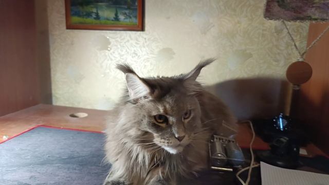 Маруся