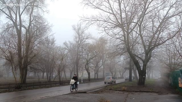 19.12.23. вт. Сквер Чехова в тумане.