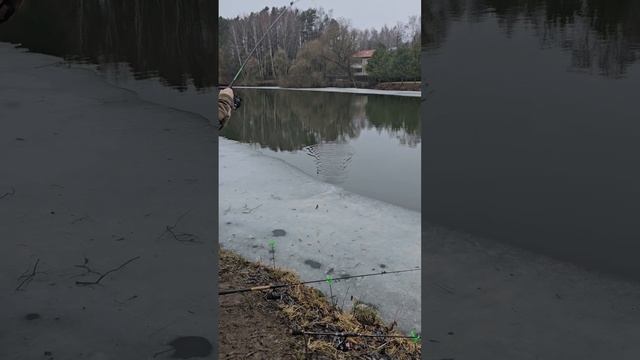 Маленький секрет большого улова фидер на р.Десна