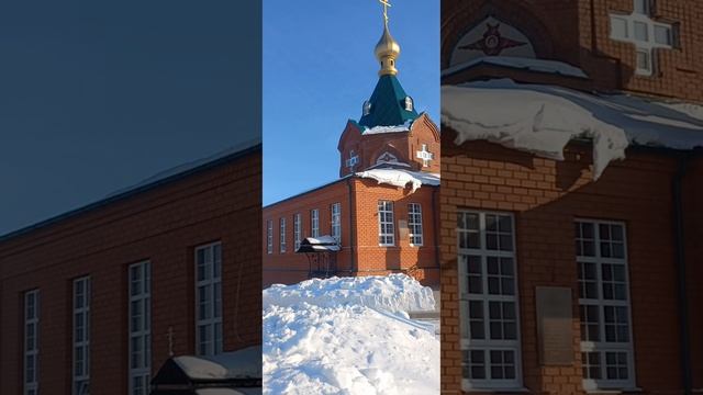 Покойники кормят собак.