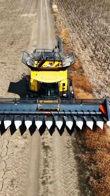 Modern Harvesting Machine #shorts #shortsvideo #youtubeshorts #shortsfeed #bigmachine #harvester