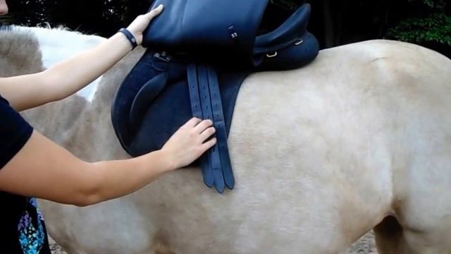 How to Properly Fit an English Saddle