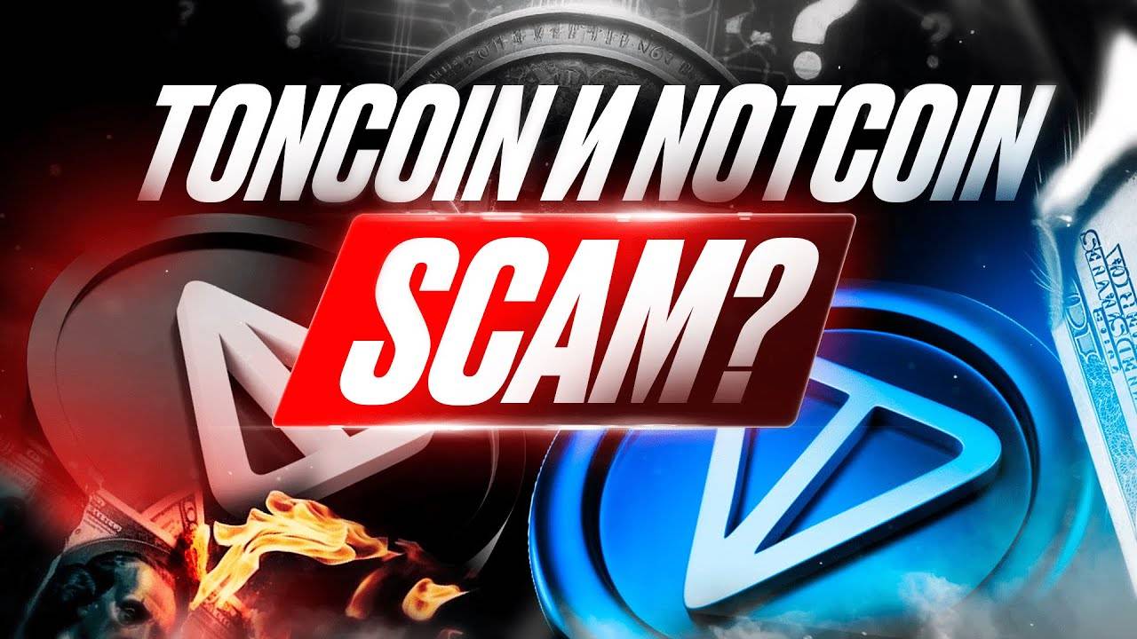 🟥 TONCOIN и NOTCOIN - SCAM