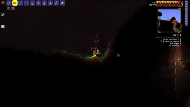 Matando a pantera terraria