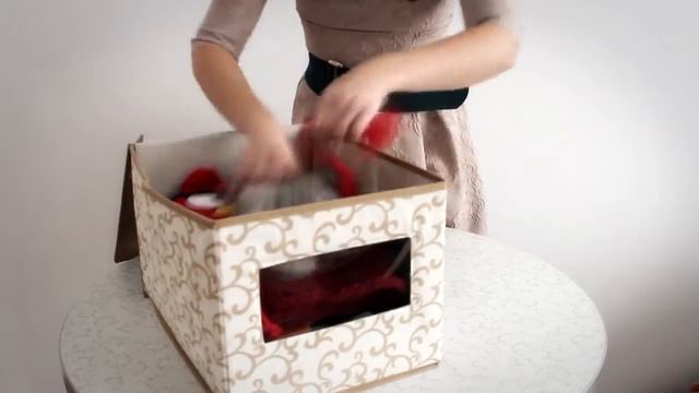 Кофр для хранения вещей с прозрачным окошком