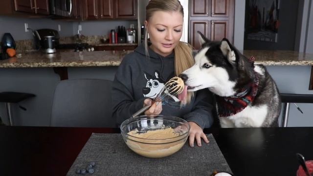 DIY Berry Pumpkin Pancakes For Dogs!