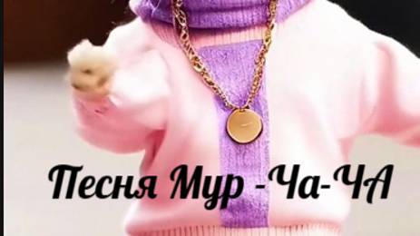 Песня "Мур-ча-ча"