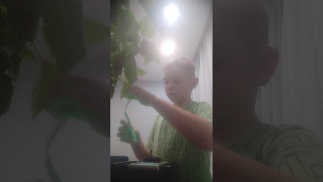 обзор на мою капилку