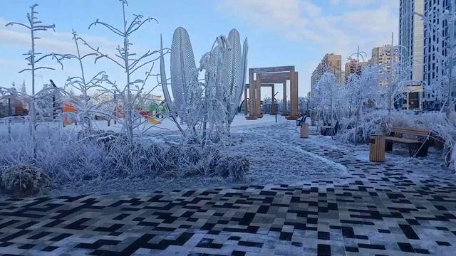 Прогулка,  29  декабря 2024 г.