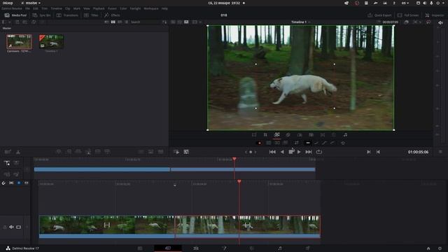 [DaVinci Resolve] Урок 18. Динамический зум