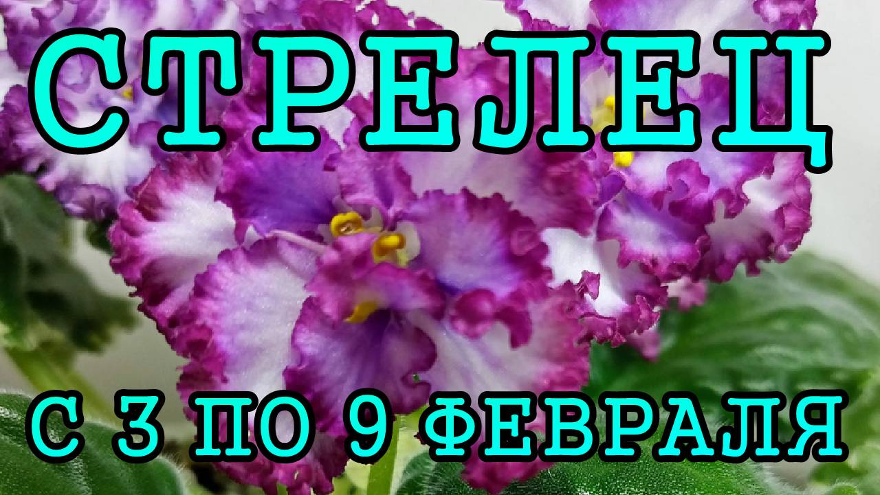 СТРЕЛЕЦ таро прогноз на неделю с 3 по 9 ФЕВРАЛЯ 2025 года.