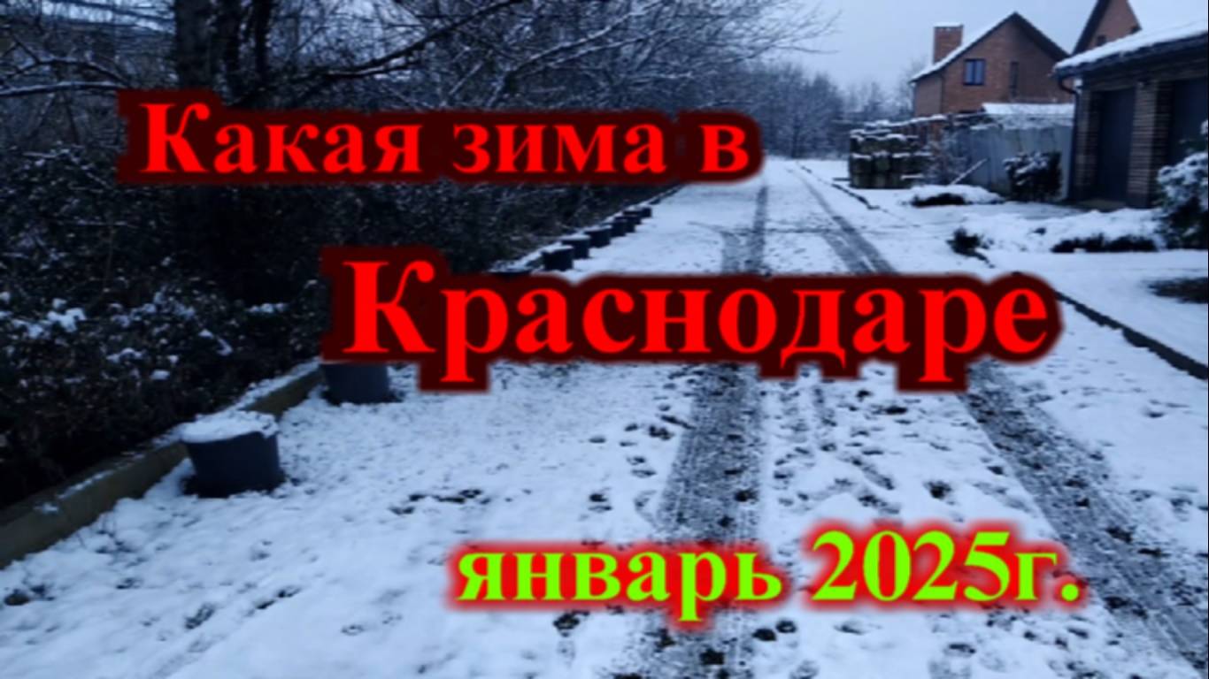 Какая зима в Краснодаре 2025 год