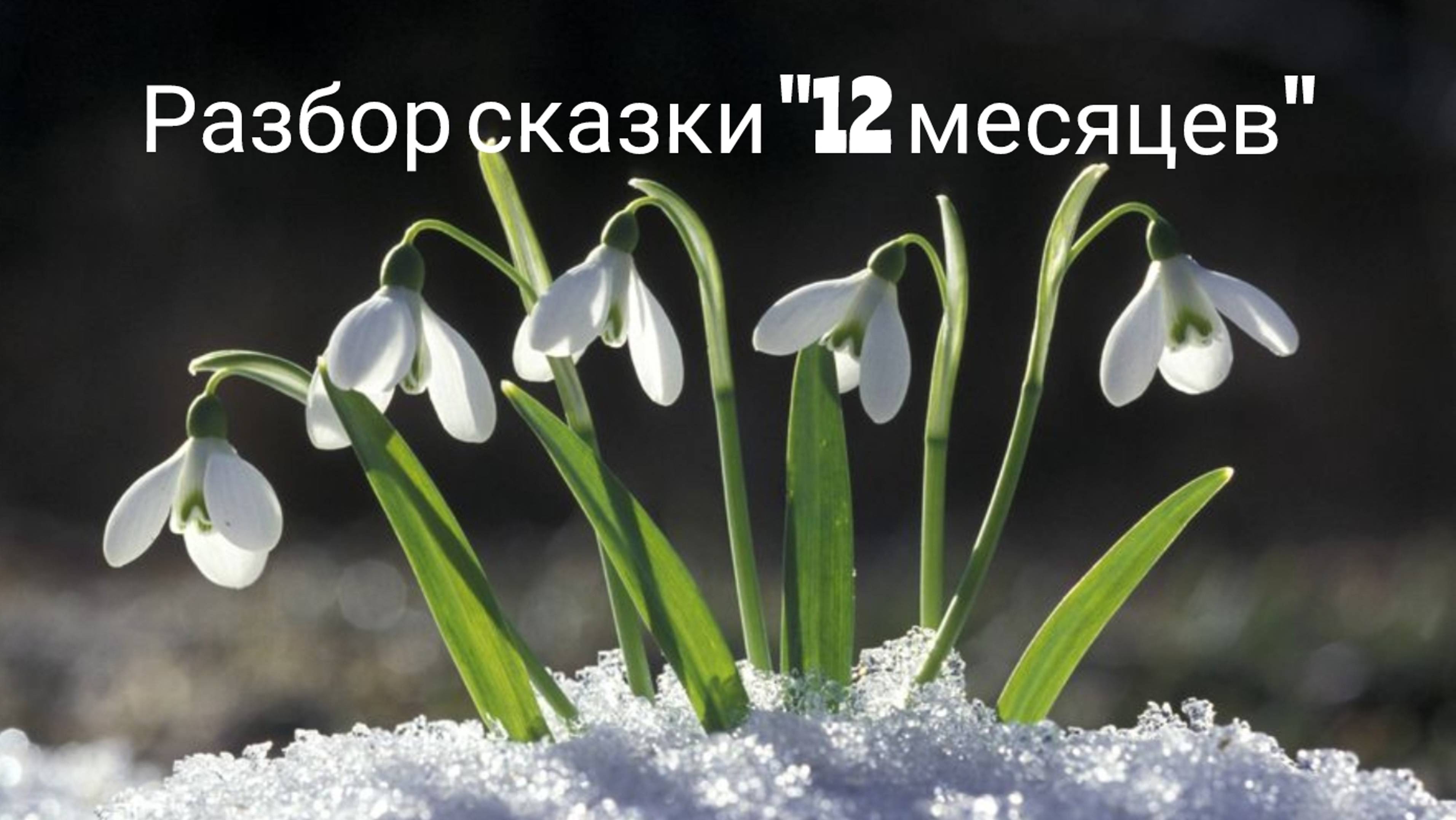 Разбор сказки "12 месяцев"