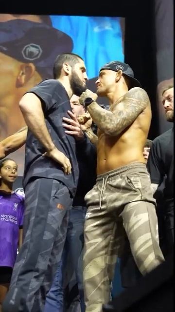 Махачев vs Порье: последняя дуэль взглядов |  Спорт Шрёдингера #ufc #юфс