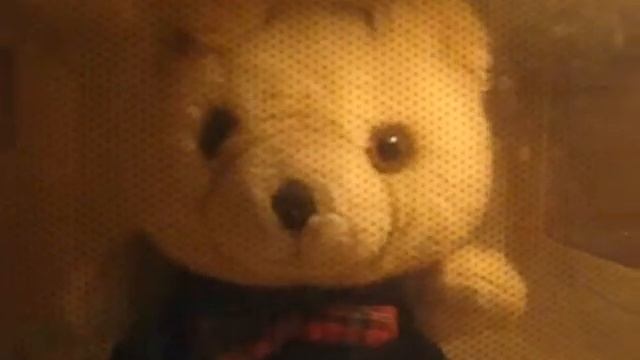 Microwave Warm Ted