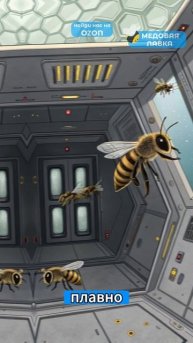 ПЧЕЛЫ В КОСМОСЕ 🍯🐝 #пчелы #факты #здоровье #мёд #пчеловодство #топ #еда #пп #рек #интересное